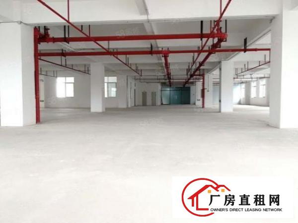  一手房东厂房出租2000平全新标准厂房可分租形象好易招工