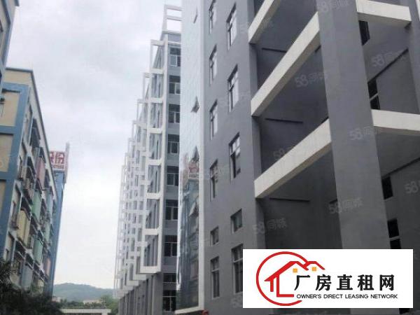  一手房东厂房出租2000平全新标准厂房可分租形象好易招工