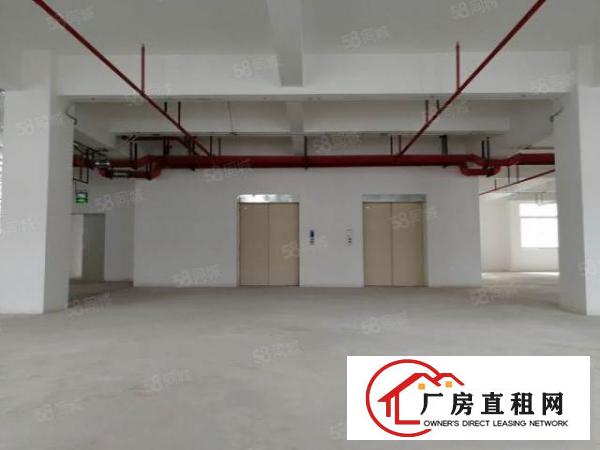  一手房东厂房出租2000平全新标准厂房可分租形象好易招工