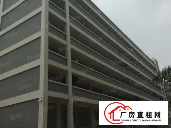  一手房东厂房出租2000平全新标准厂房可分租形象好易招工