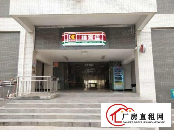  一手房东厂房出租2000平全新标准厂房可分租形象好易招工