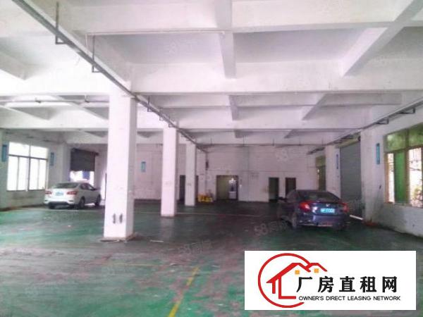  樟木头樟洋一楼900平方厂房出租
