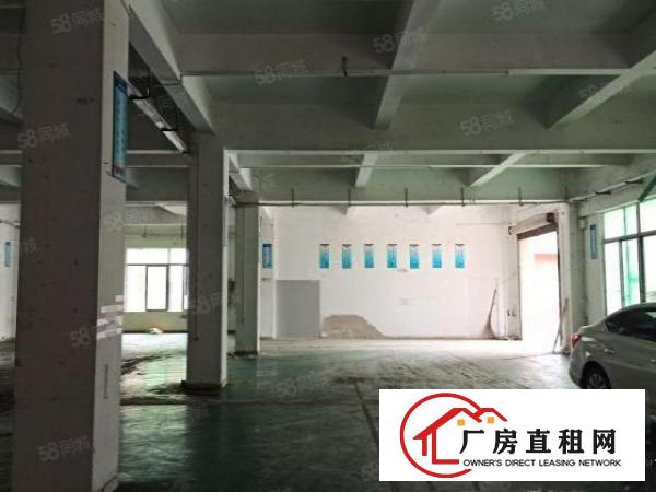  樟木头樟洋一楼900平方厂房出租