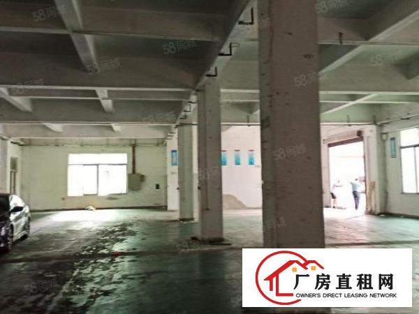  樟木头樟洋一楼900平方厂房出租