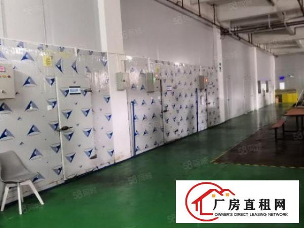 塘厦镇168工业园带房产证独院厂房招租