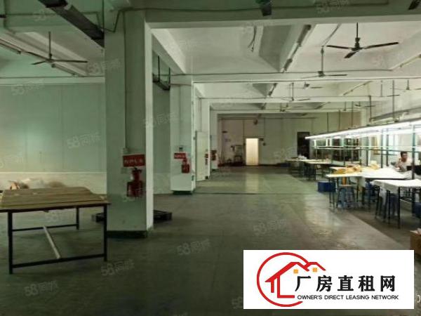  樟木头新出3300平方厂房出租