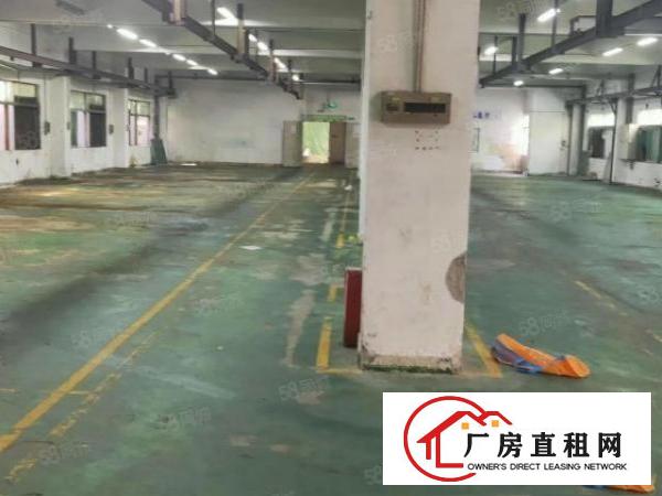  樟木头新出3300平方厂房出租
