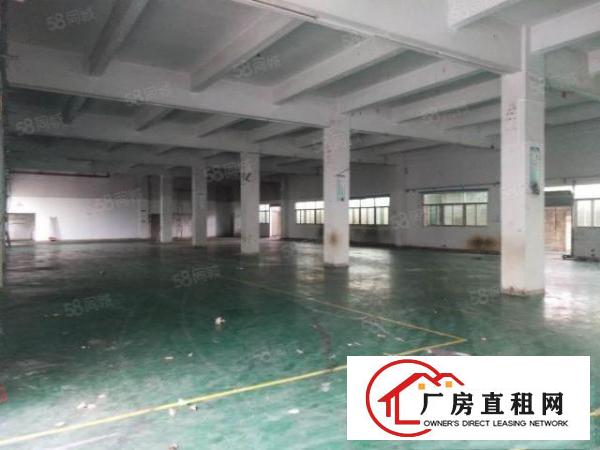  出租|樟木头东城广场2000平可做小污染