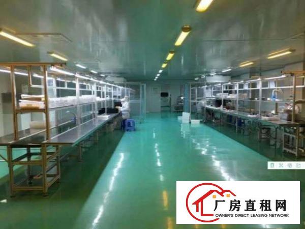  谢岗镇镇中心附件无尘车间出租面积1500平方园区空地大易招工