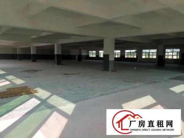  东莞谢岗园内二楼厂房原房东