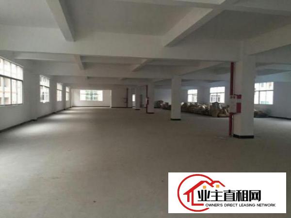  各式原房东大小厂房出租