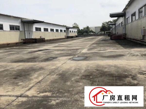 单一层独院3000平中间无柱子