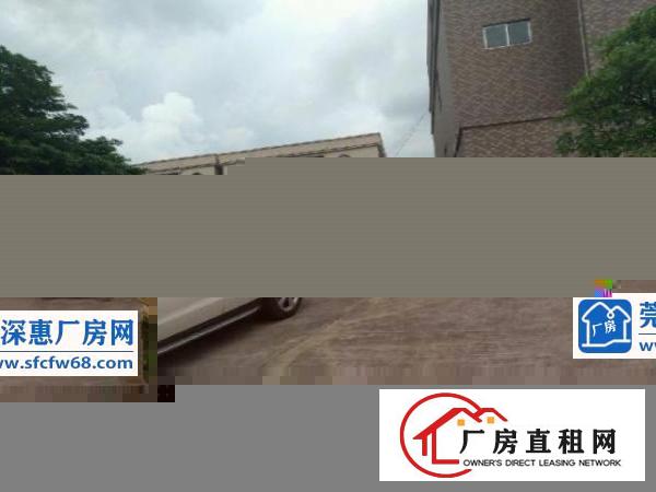 谢岗厂房出租客户零收费