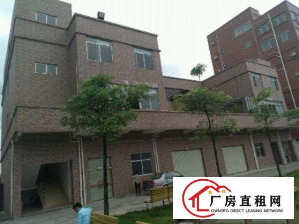  谢岗厂房出租客户零收费
