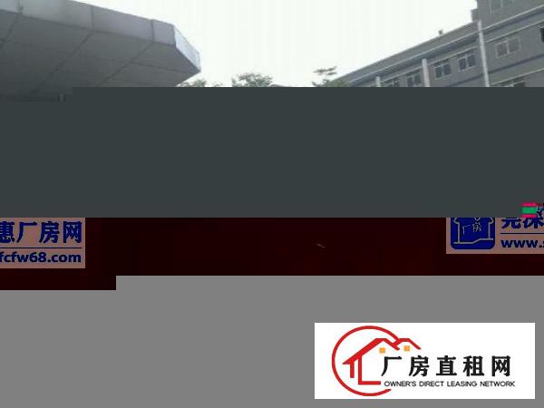  谢岗厂房出租客户零收费