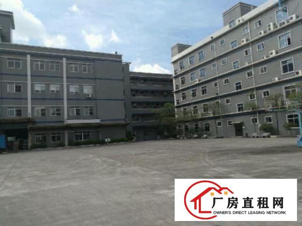  谢岗厂房出租客户零收费