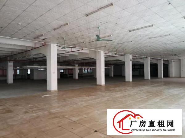  谢岗标准厂房出租，面积可分租，单层可分一半