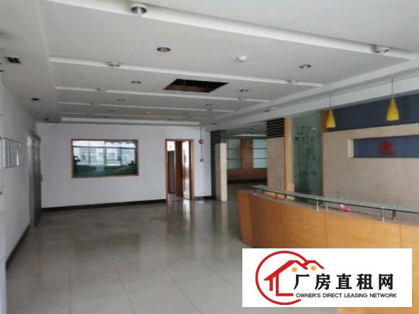  谢岗标准厂房出租，面积可分租，单层可分一半