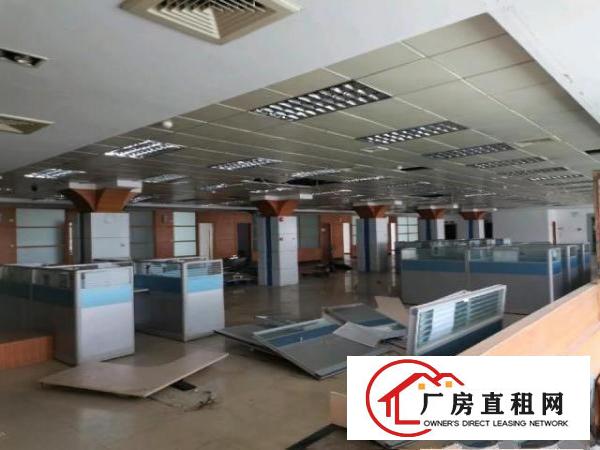  谢岗标准厂房出租，面积可分租，单层可分一半
