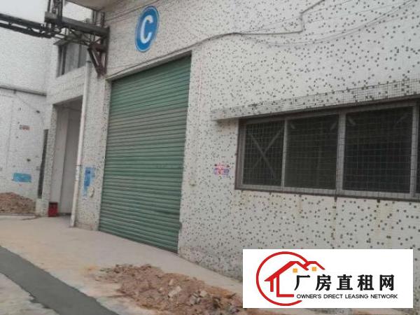  谢岗标准一楼厂房出租，高度7米