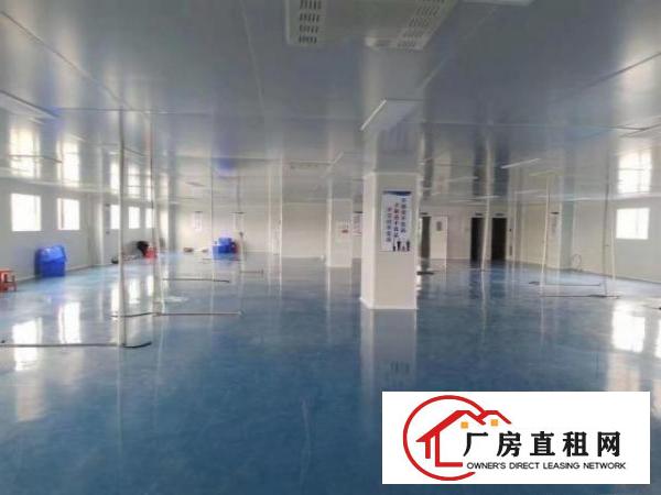  谢岗一楼厂房出租，可分租