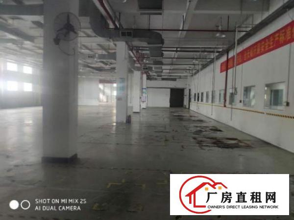  谢岗银湖二楼厂房出租
