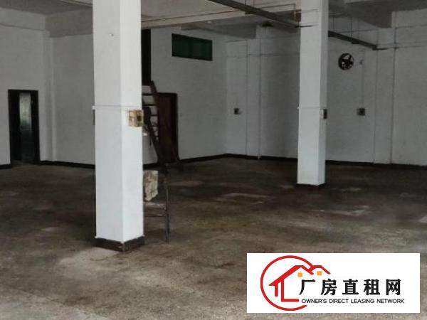  出租谢岗镇510平厂房自带办公区域环境优越现成装修