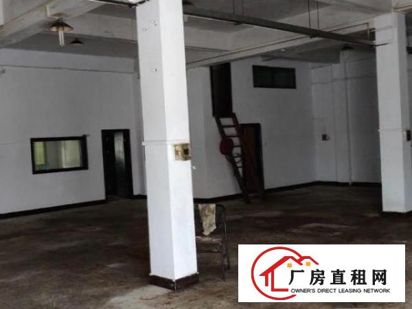  出租谢岗镇510平厂房自带办公区域环境优越现成装修