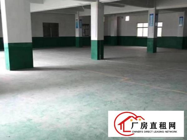 出租谢岗镇510平厂房自带办公区域环境优越现成装修