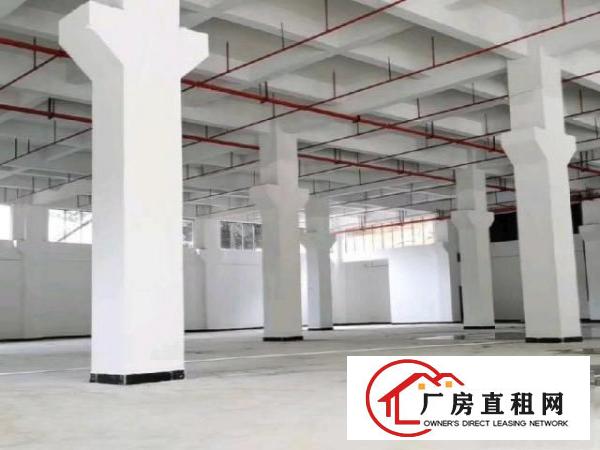  独门独院标准厂房出租