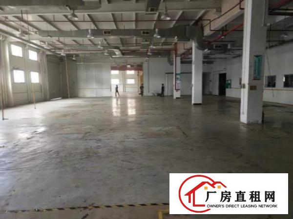  谢岗镇金川工业区标准独院厂房4530平方出租