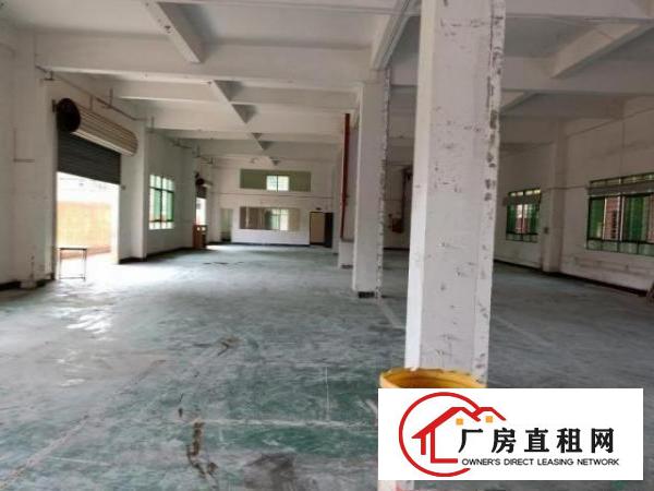  谢岗镇金川工业区标准独院厂房4530平方出租