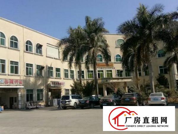  出租谢岗燕东工业区鼎嘉工业园厂房