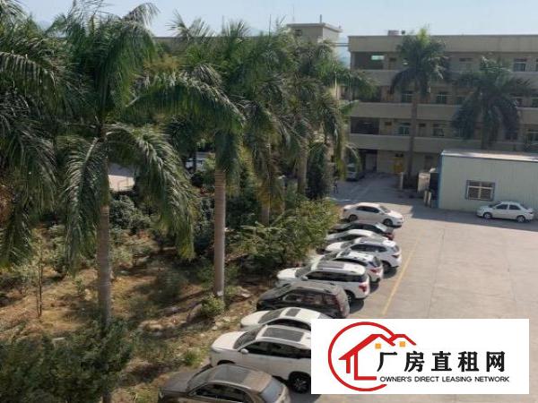  出租谢岗燕东工业区鼎嘉工业园厂房