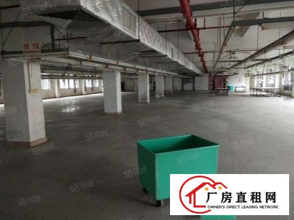  谢岗标准楼上整层1600平方出租可分租水电线路齐全