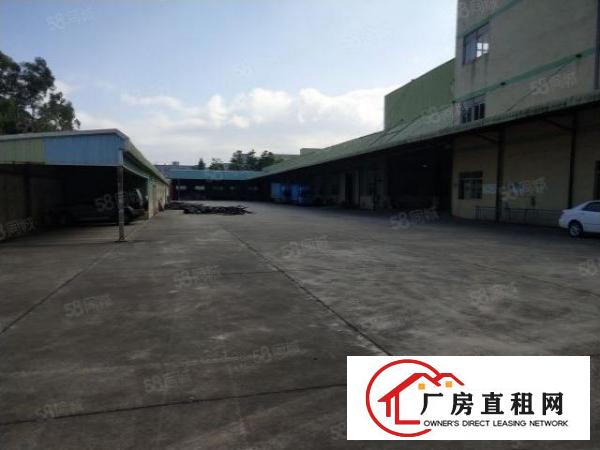  谢岗带环评抽粒厂房1750平方出租