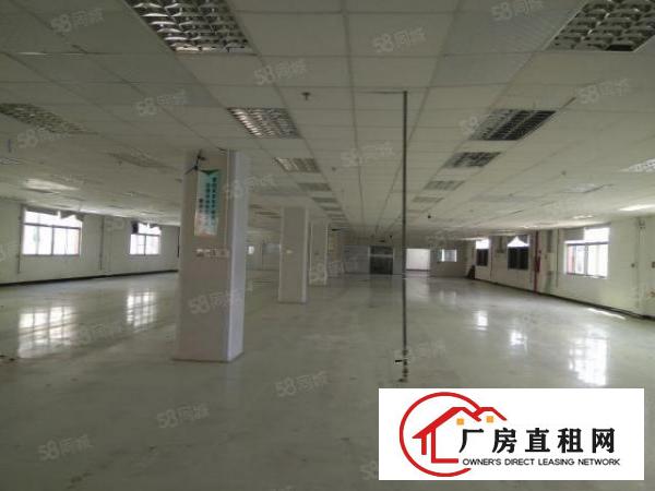  谢岗楼上带现成无尘车间1700平方厂房出租