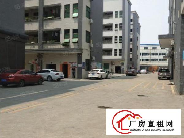  谢岗楼上九成新整层带喷淋2630平水电线路办公出租