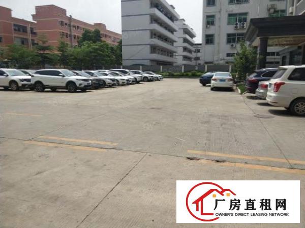  谢岗楼上九成新整层带喷淋2630平水电线路办公出租