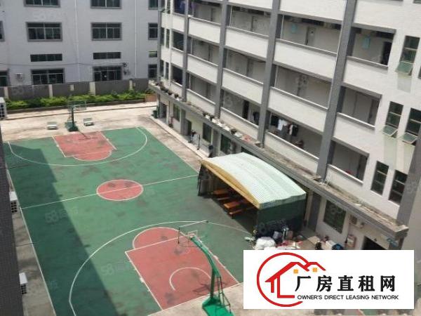  谢岗楼上九成新整层带喷淋2630平水电线路办公出租