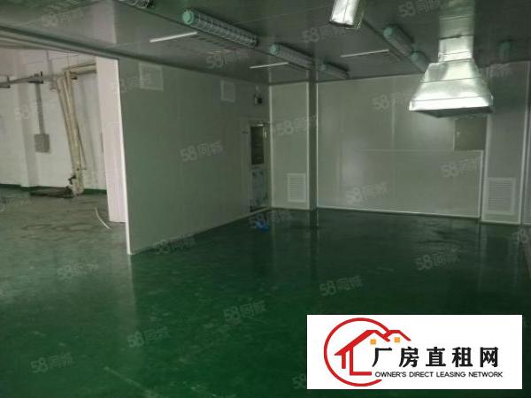  谢岗一楼厂房出租320平方和450平方水电线路齐全