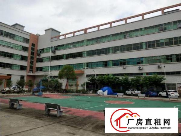  谢岗原房东高大尚标准楼上整层厂房900平方出租