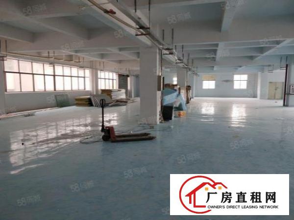  谢岗原房东高大尚标准楼上整层厂房900平方出租