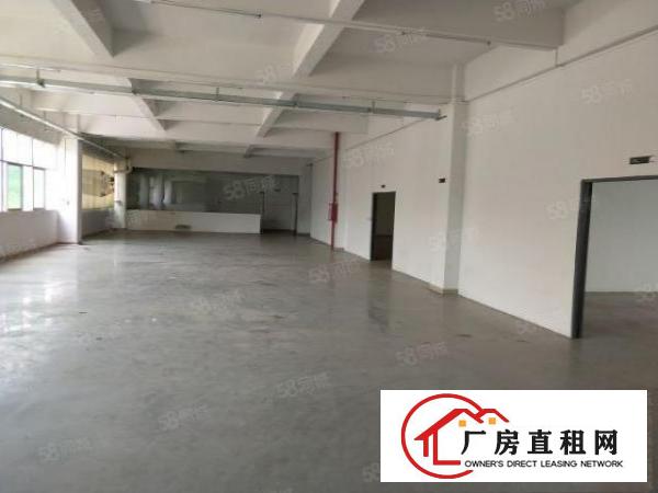  谢岗镇偏僻独栋四层厂房3200平方出租可以分租