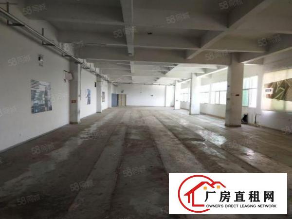  谢岗镇偏僻独栋四层厂房3200平方出租可以分租