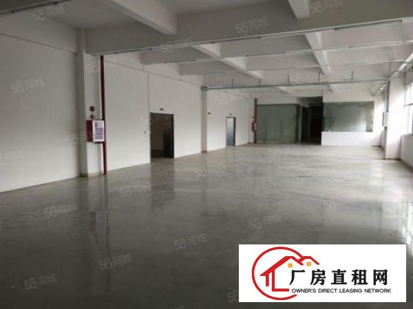  谢岗镇偏僻独栋四层厂房3200平方出租可以分租
