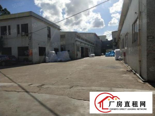  谢岗标准一楼8米高780平方出租