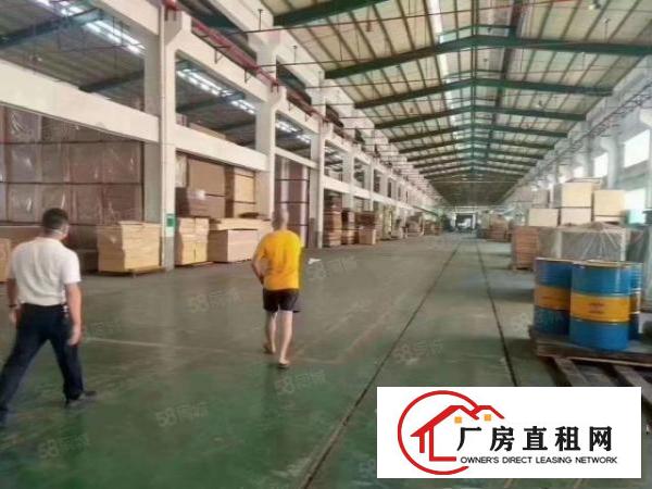  谢岗单一层钢构工业园厂房分租独栋3000平方带消防喷淋可分租