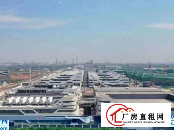  东莞谢岗镇政府打造高新园区补贴5000大小独栋独院厂房出租
