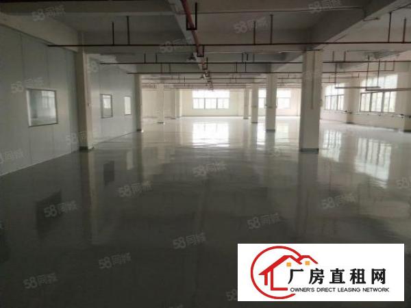  谢岗原房东全新三楼整层1500平方出租